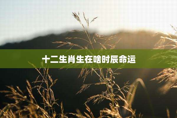 十二生肖生在啥时辰命运