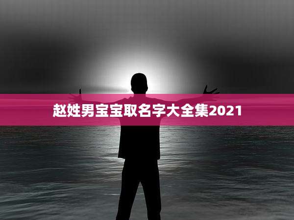 赵姓男宝宝取名字大全集2021