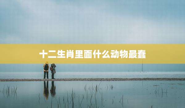 十二生肖里面什么动物最蠢