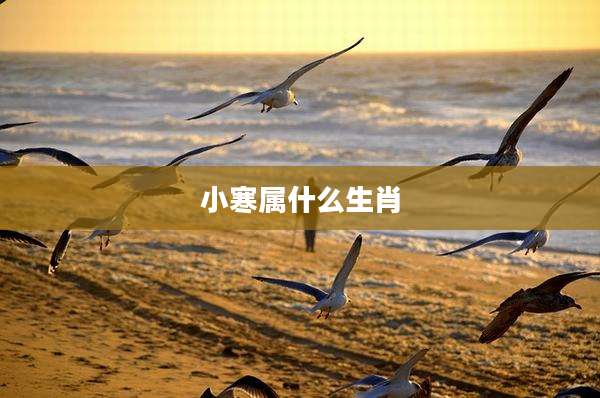 小寒属什么生肖