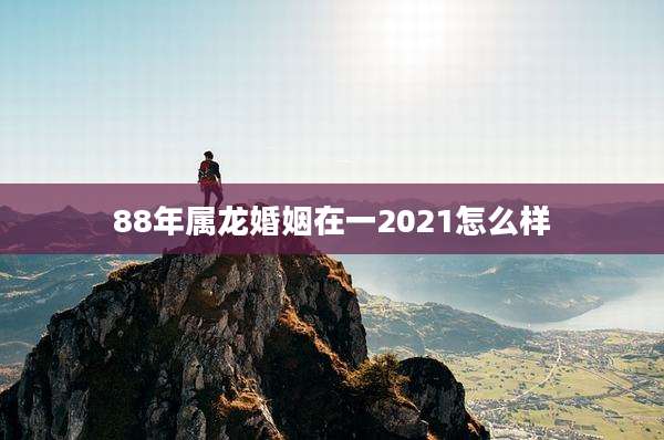 88年属龙婚姻在一2021怎么样