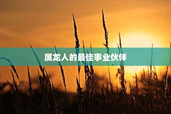 属龙人的最佳事业伙伴