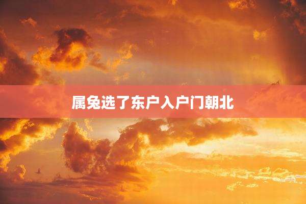 属兔选了东户入户门朝北