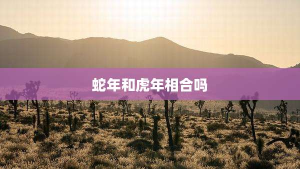 蛇年和虎年相合吗