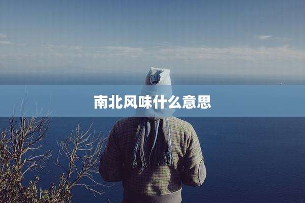 南北风味什么意思