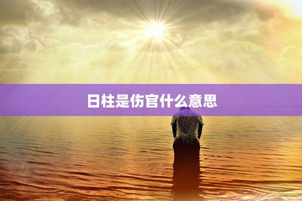 日柱是伤官什么意思
