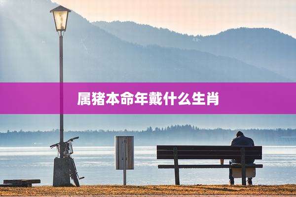 属猪本命年戴什么生肖