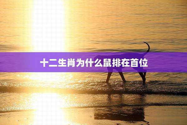 十二生肖为什么鼠排在首位