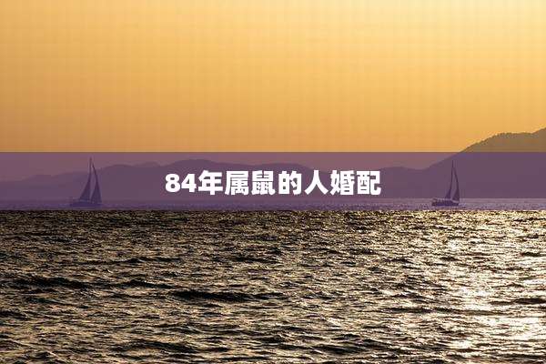 84年属鼠的人婚配