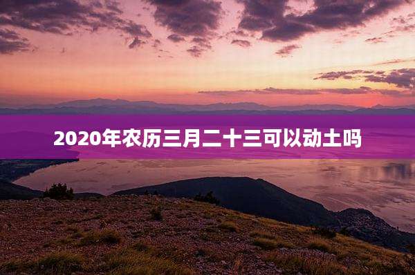 2020年农历三月二十三可以动土吗