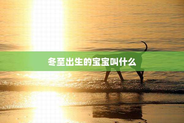 冬至出生的宝宝叫什么