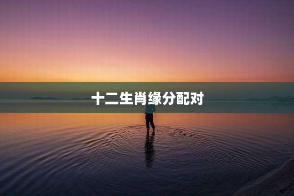 十二生肖缘分配对