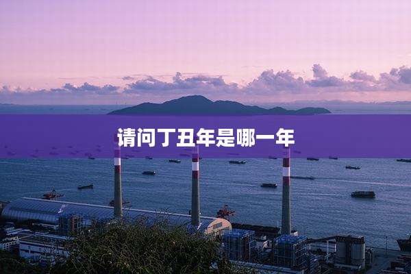请问丁丑年是哪一年