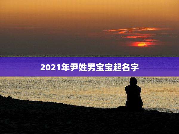 2021年尹姓男宝宝起名字