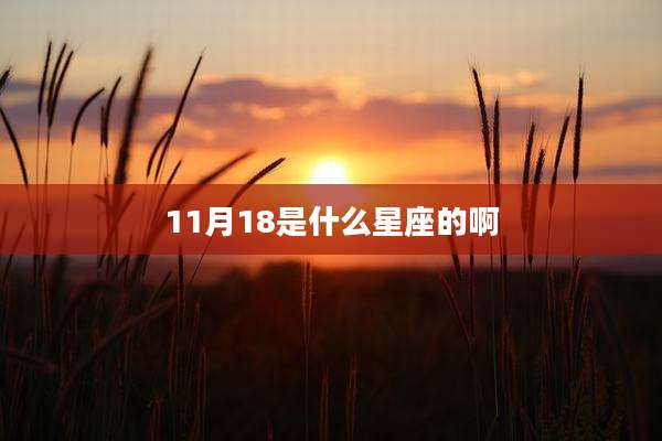 11月18是什么星座的啊