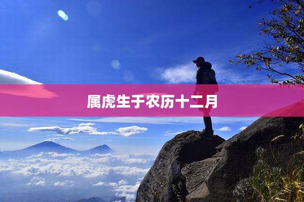 属虎生于农历十二月