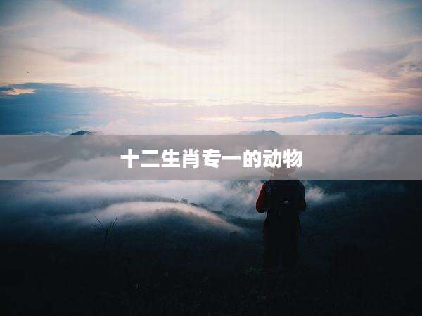 十二生肖专一的动物