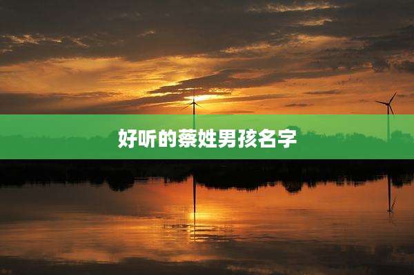 好听的蔡姓男孩名字