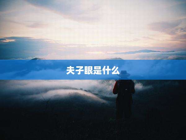 夫子眼是什么