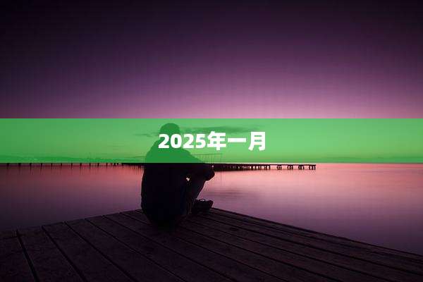 2025年一月