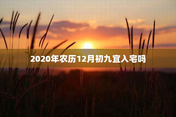 2020年农历12月初九宜入宅吗