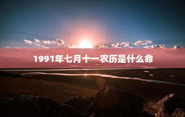1991年七月十一农历是什么命