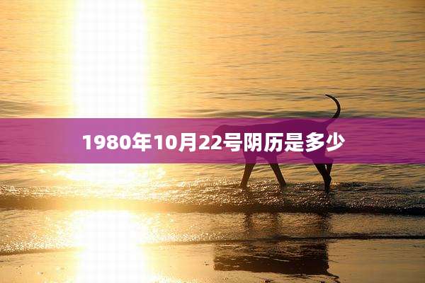 1980年10月22号阴历是多少