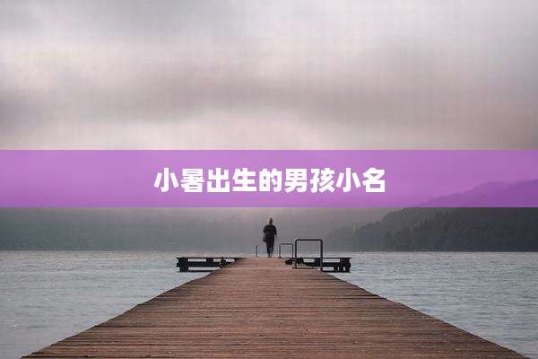 小暑出生的男孩小名