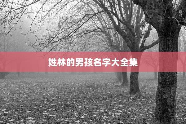 姓林的男孩名字大全集