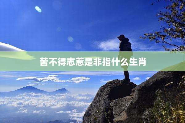 苦不得志惹是非指什么生肖