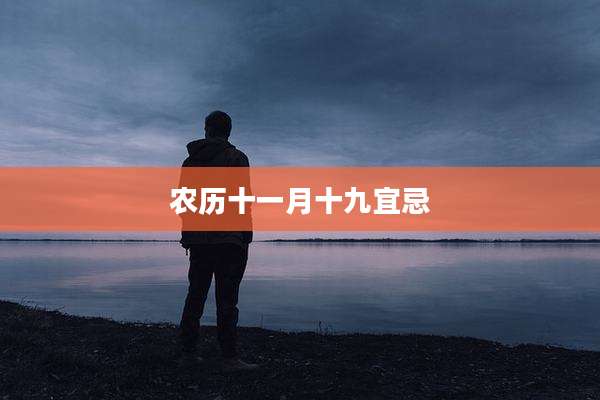 农历十一月十九宜忌