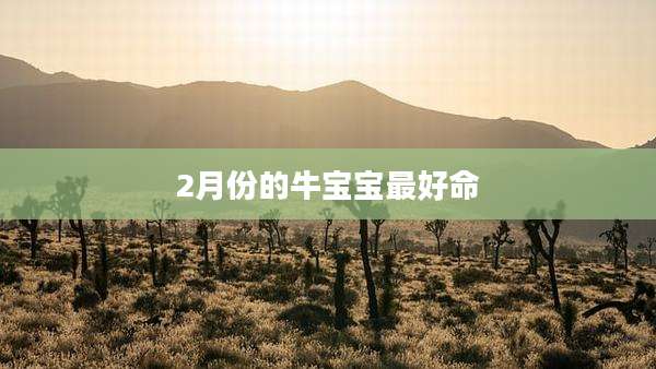 2月份的牛宝宝最好命