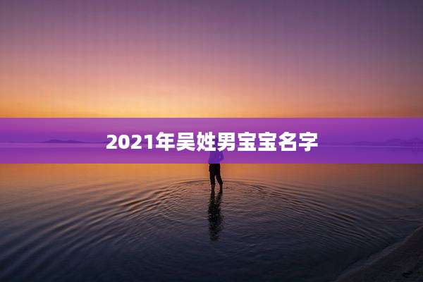 2021年吴姓男宝宝名字