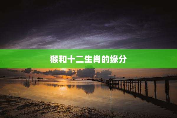 猴和十二生肖的缘分
