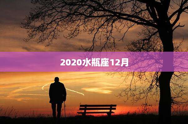 2020水瓶座12月