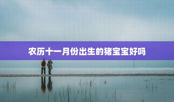农历十一月份出生的猪宝宝好吗
