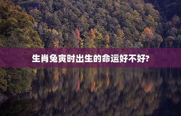 生肖兔寅时出生的命运好不好?