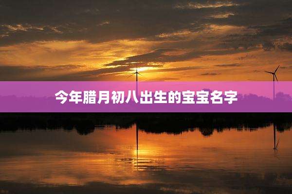 今年腊月初八出生的宝宝名字