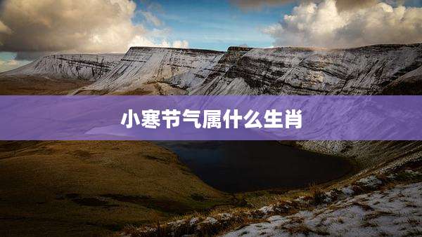 小寒节气属什么生肖