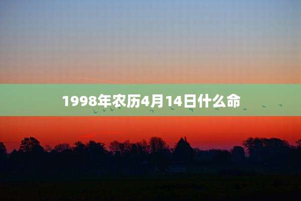 1998年农历4月14日什么命