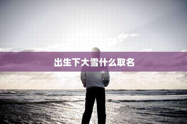 出生下大雪什么取名