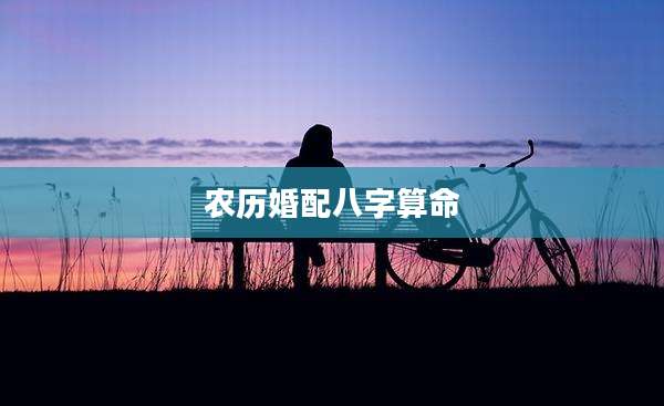 农历婚配八字算命
