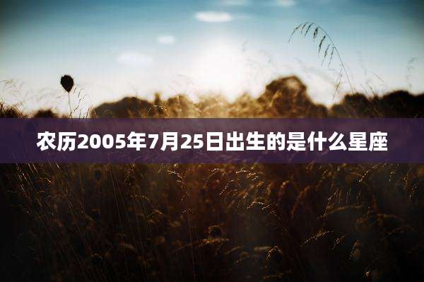 农历2005年7月25日出生的是什么星座