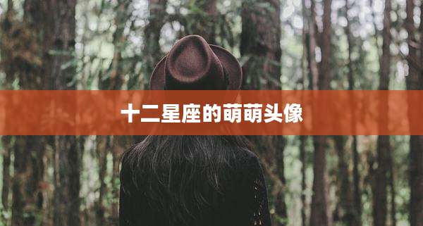 十二星座的萌萌头像