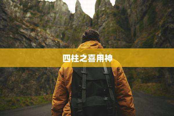 四柱之喜用神
