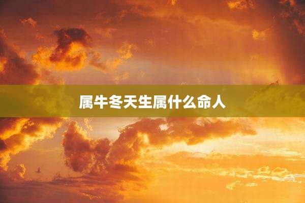 属牛冬天生属什么命人