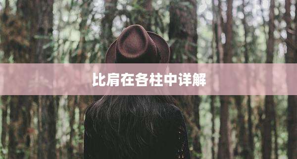比肩在各柱中详解