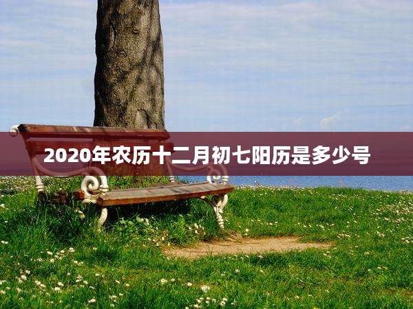 2020年农历十二月初七阳历是多少号