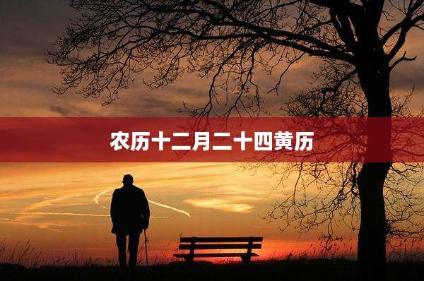 农历十二月二十四黄历
