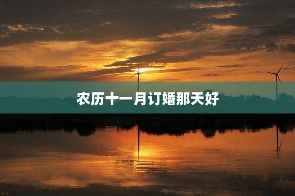 农历十一月订婚那天好